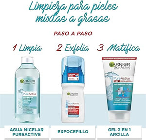 Garnier Skin Naturals Face Gel Exfocepillo Pureactive, 150 Ml